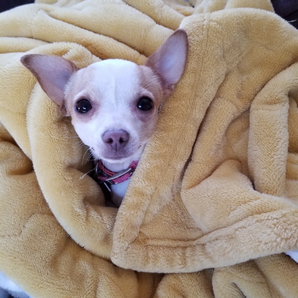 Meet your Posher, Serephine